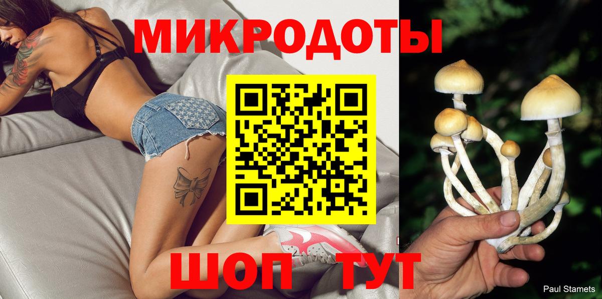 Псилоцибиновые грибы Psilocybe Старая Купавна